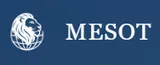 Mesot Agency Logo